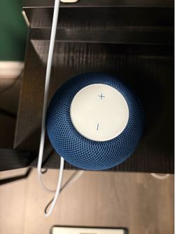 Home Pod Minis