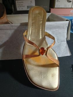 Giuseppe Zanotti