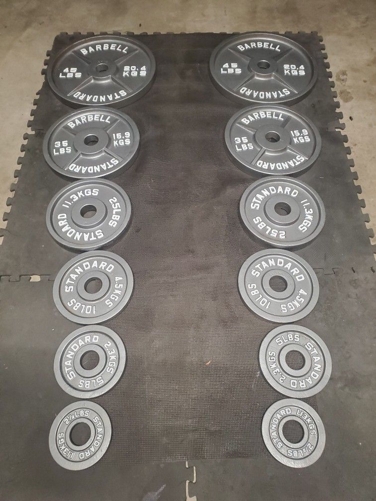 Complete Olympic Weight Set(2x45lbs 2x35lbs 2x25lbs 2x10lbs 2x5lbs 2x2½) Thats 245lbs All Together