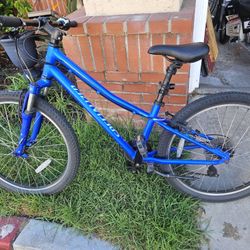 Specialized Mountain Bike (Kids)