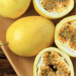 Passion Fruits/ Maracuya 