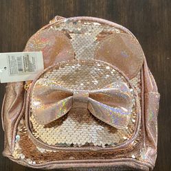 Disney Bag