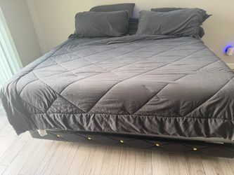 Bed frame/box spring