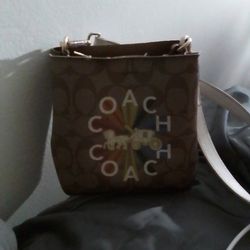 Coach Shoulder/Handbag