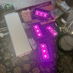 Quantum Board 300w? 4 100w Cobs