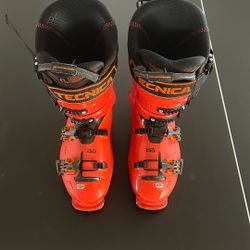 Tecnica Ski Boots 