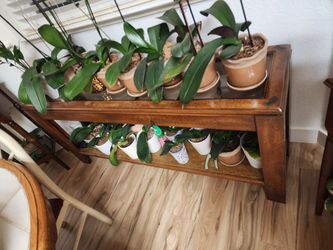 Wooden Two-Tier Plant Stand