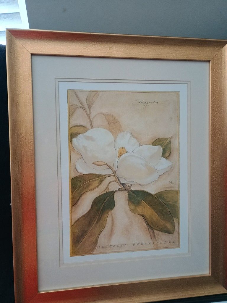 Framed Artwork