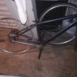 Dynamic Bike With Shift Drive