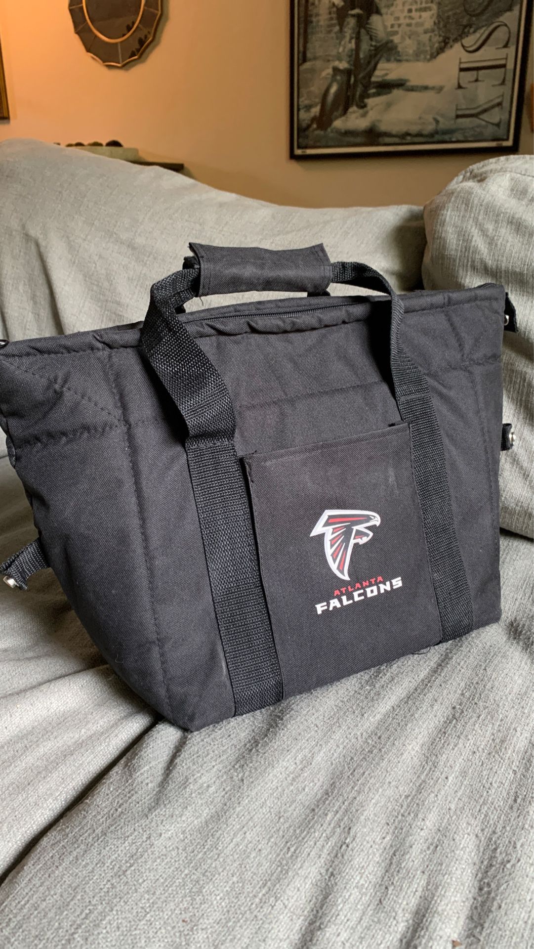 Insulated portable Falcons cooler