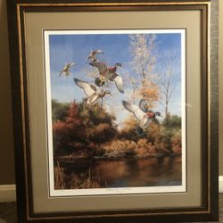 Large Ducks Unlimited Framed Picture 