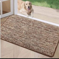 Indoor Doormat, Front Door Mat 20"x32" Absorbent Rubber Backing Non Slip Door Mats, Washable