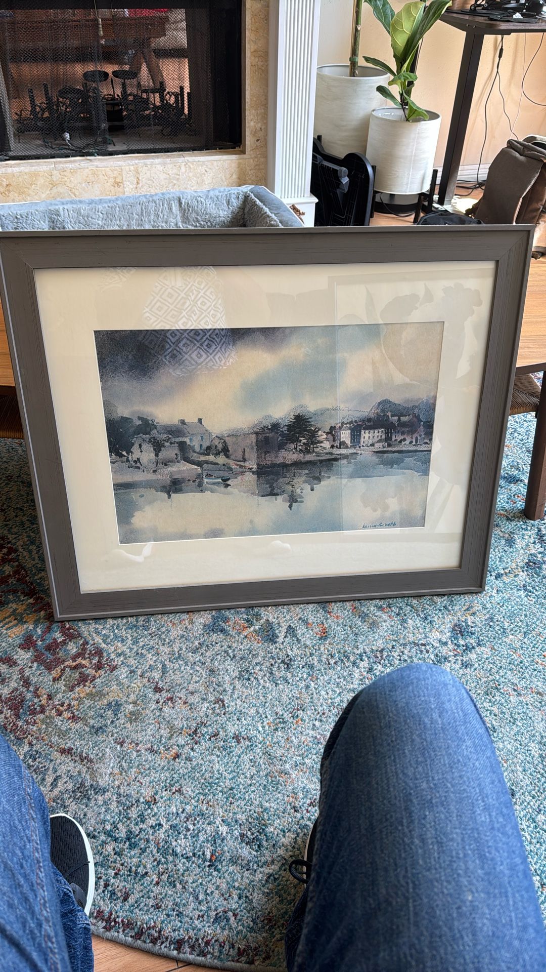 Framed Picture