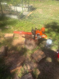 Tree work!