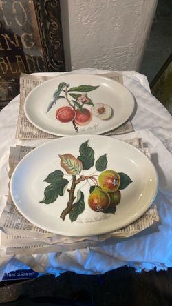 Set of 6 Portmeirion Pomona 11-inch oval steak plates