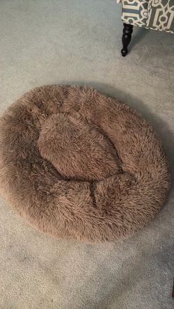 Dog bed but used as a toddler napping pillow