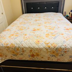 Gray Queen Panel Bed with Mirrored Dresser and Chest