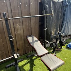 Complete Weight Lifting Set Up 