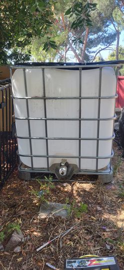 Container