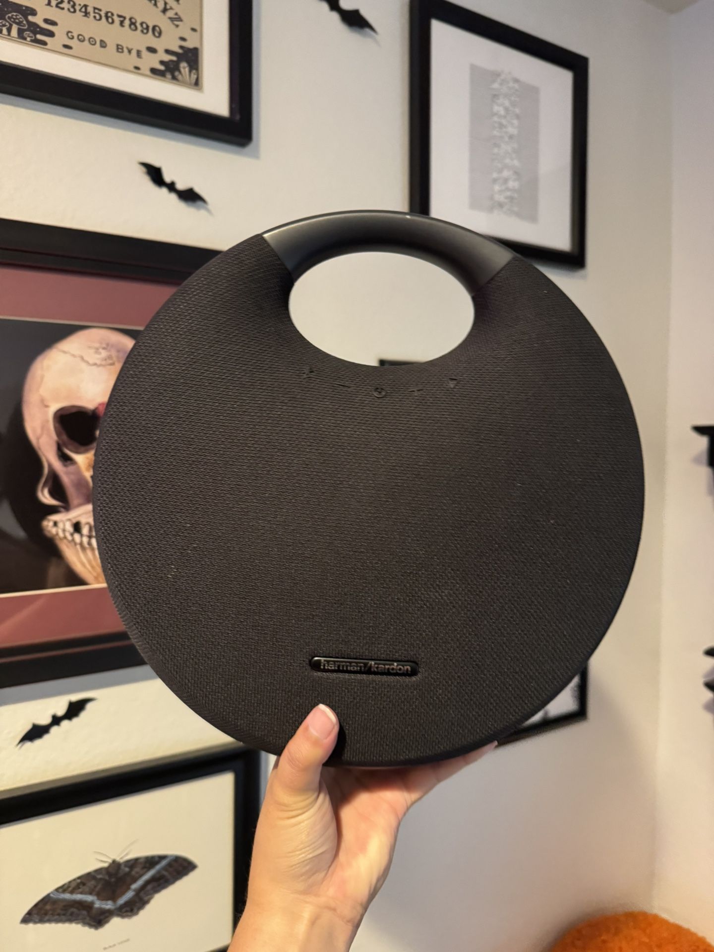 Harmon/Kardon speaker