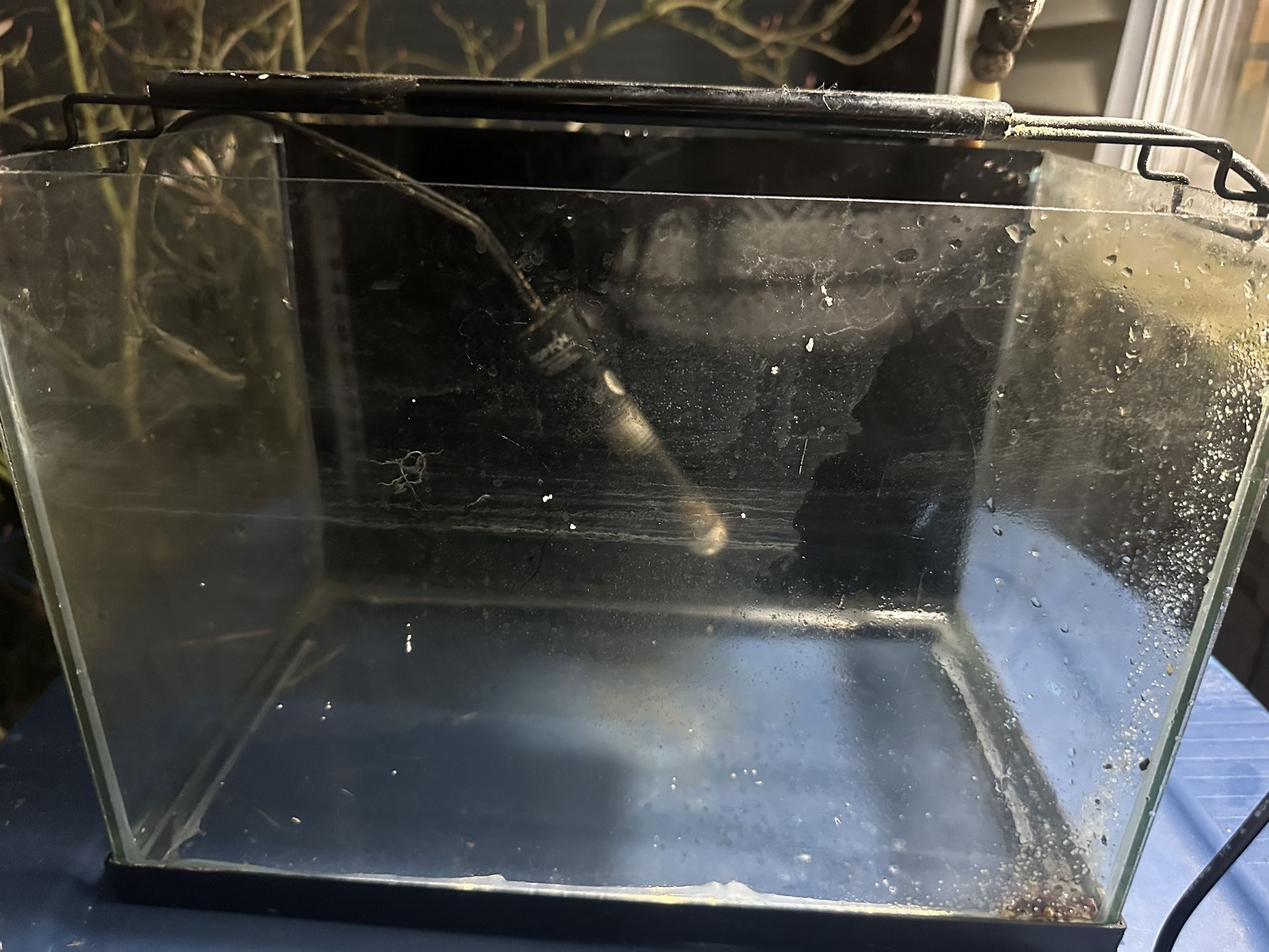 Fish tank aquarium 5 gallon