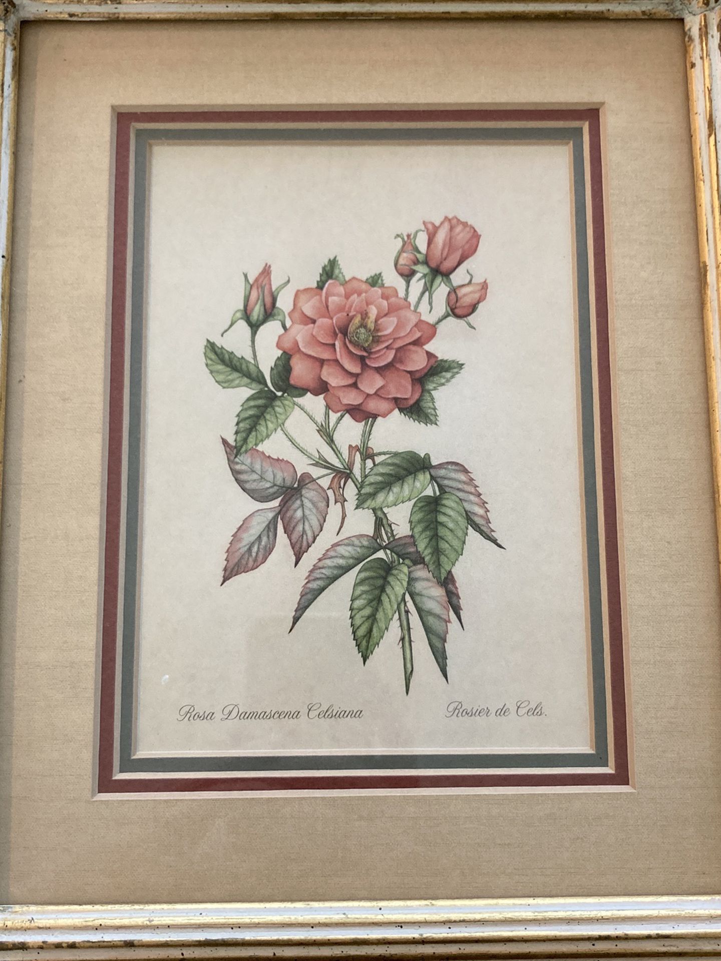 Vintage Flower Picture With Frame, 9x11, $15 For Both