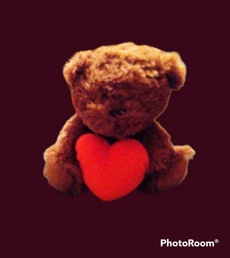 Animal Adventures Teddy Bear Holding A Heart