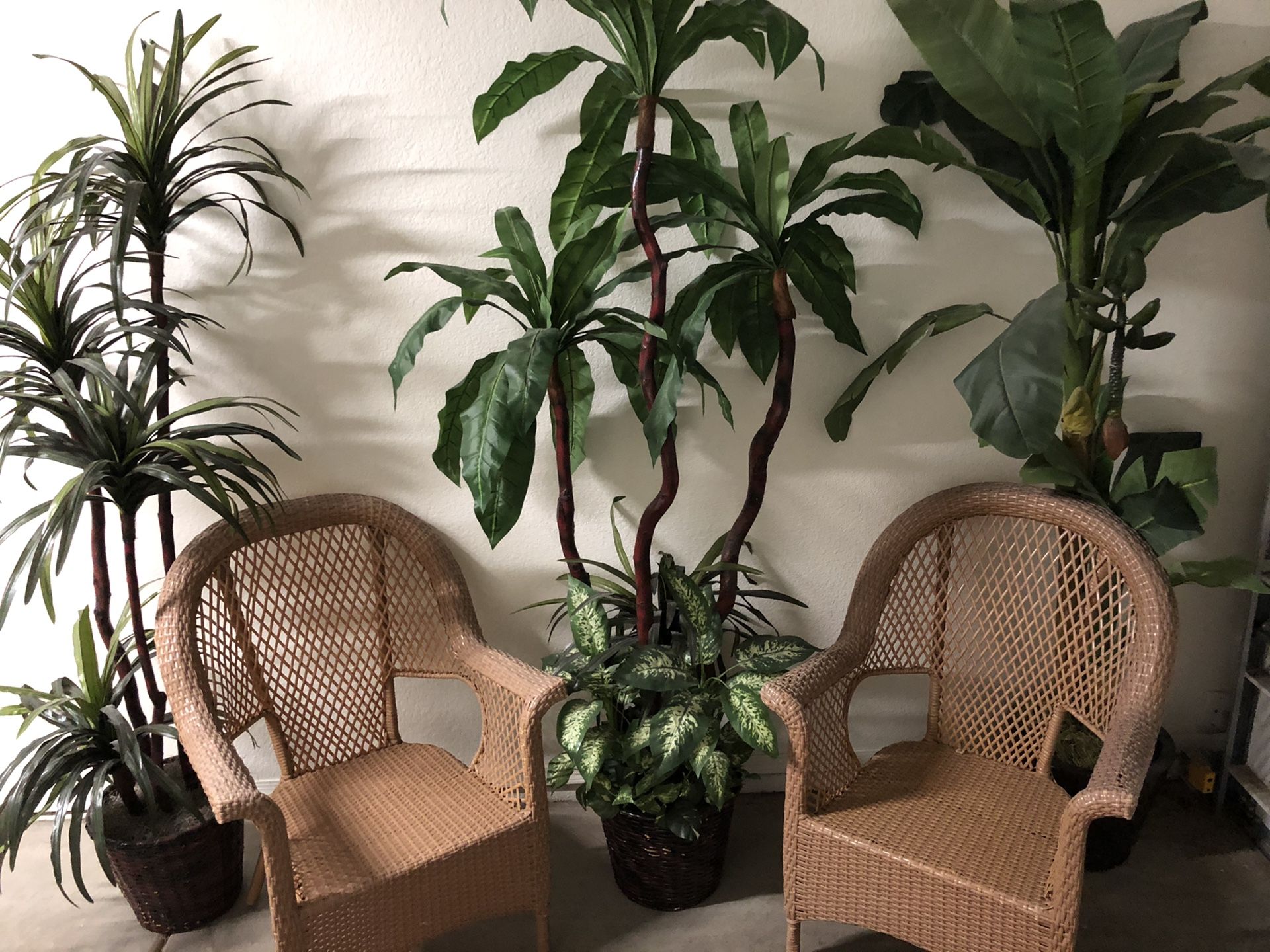 Chair and fake palms