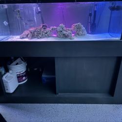 120 Gallon Fish Tank With Stand 