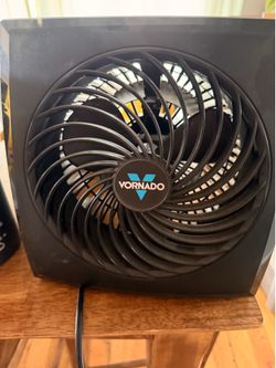 Fan