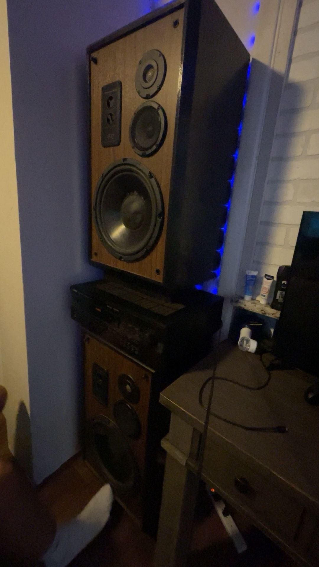 Cerwin Vega 12 House Speakers