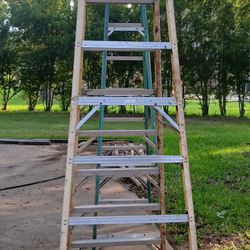 12 ft Werner Ladder