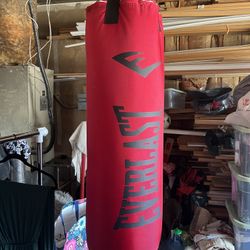 Everlast Boxing bag 100lbs