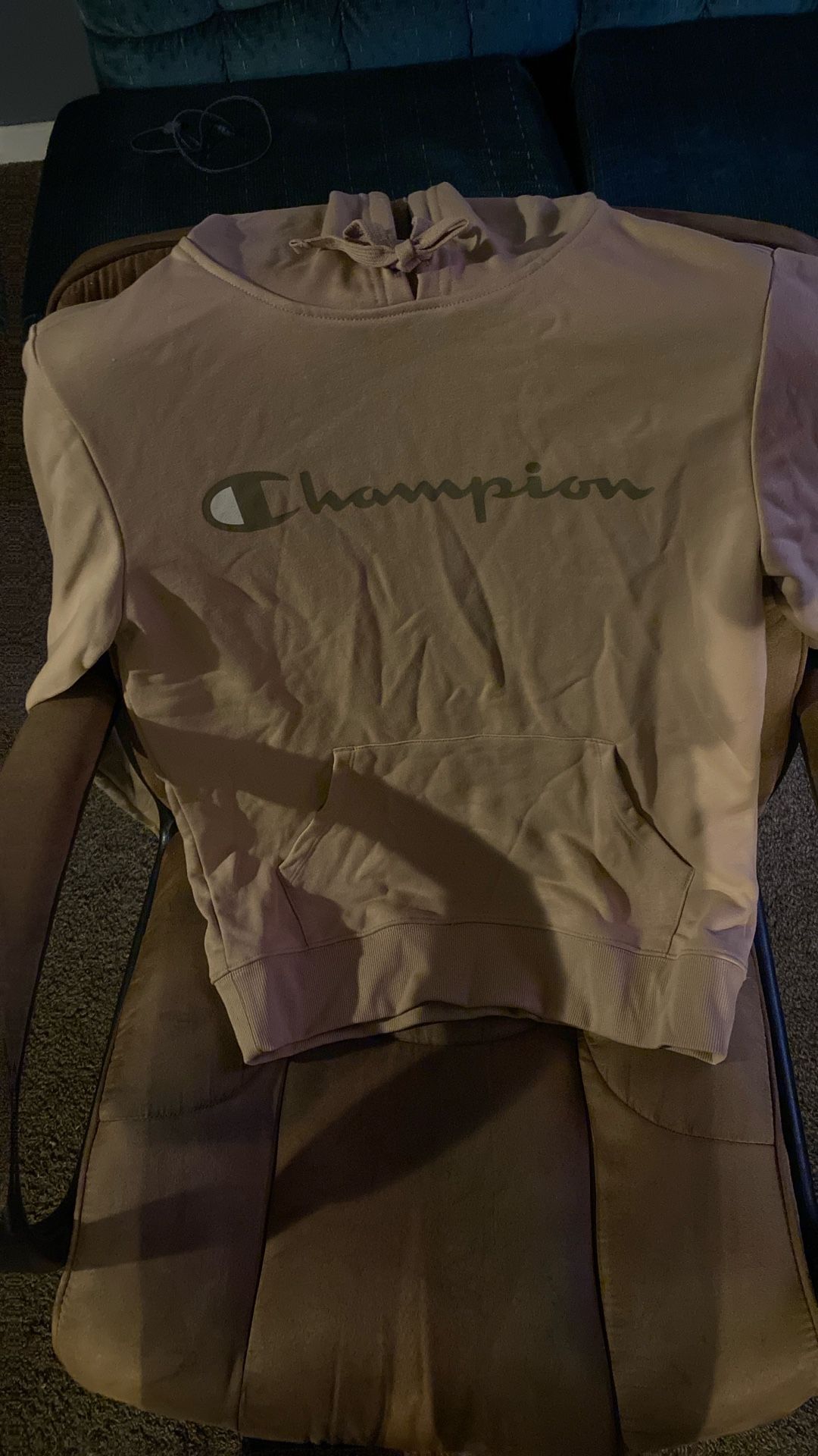 Champion Hoodie