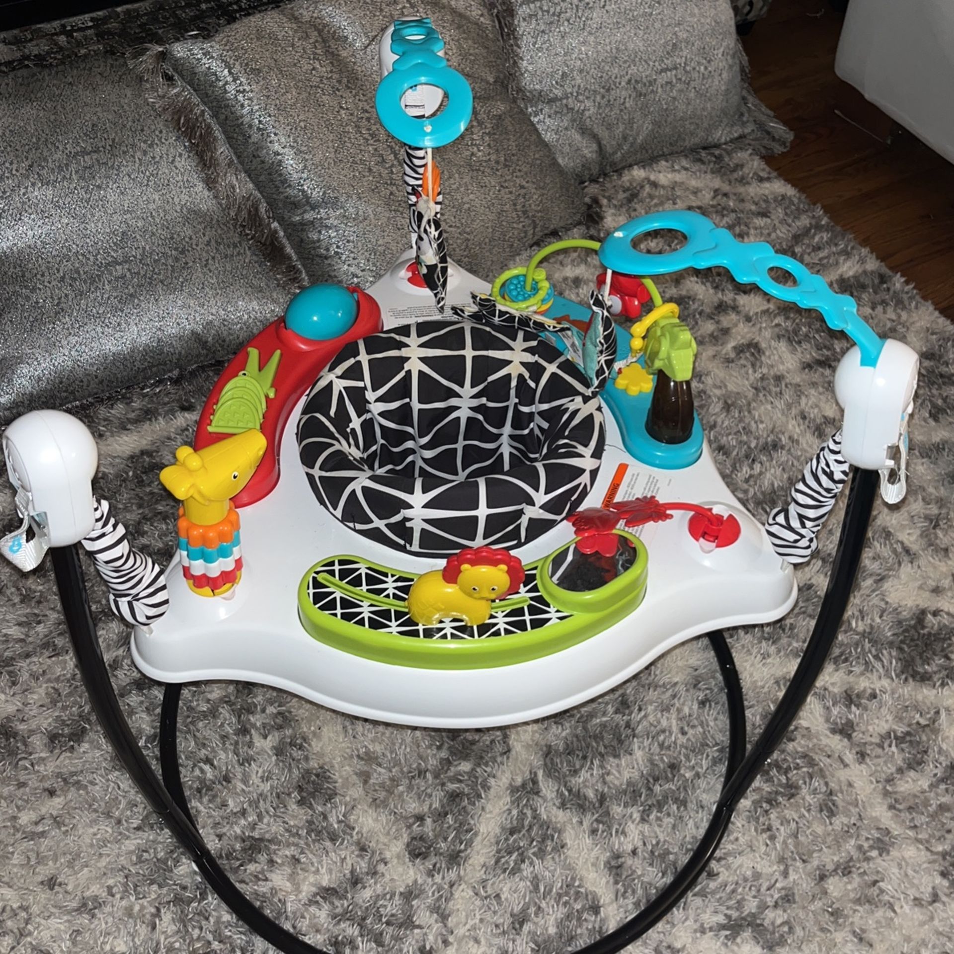 Fisher-Price Baby Bouncer 