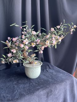 Vintage Chinese Peking Glass Jade Bonsai Tree In Celadon Planter, Glass  Jade Bonsai Tree, Glass Bonsai, Peking Glass , Vintage Chinese Bunsai for  Sale in Las Vegas, NV - OfferUp