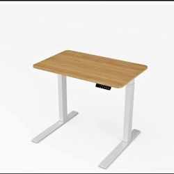 Height Adjustable Desk Electric Standing Desk Stand up Desk Home Office Desk Dual Motor