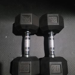 25lbs Dumbells Weights