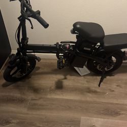 One Dam Good Electric Bike