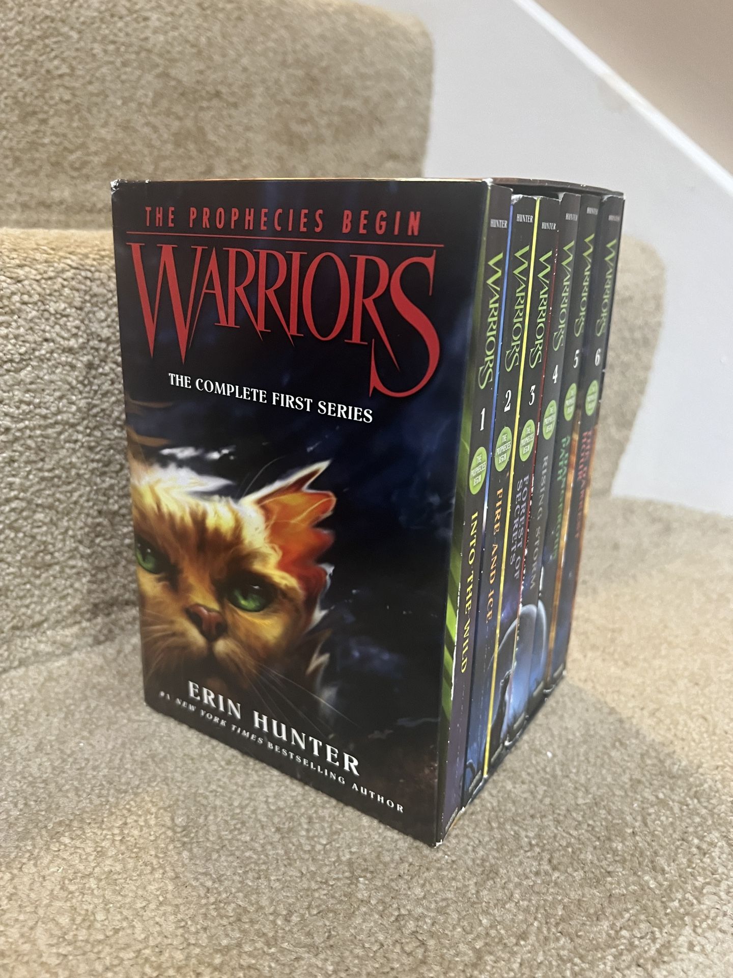 Warriors Box Set: Volumes 1 to 6: The Complete First Series The Prophecies Begin