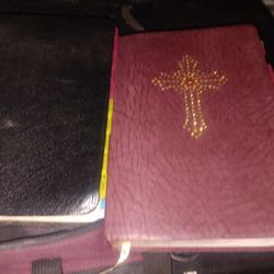 Two  Holy Bibles Free
