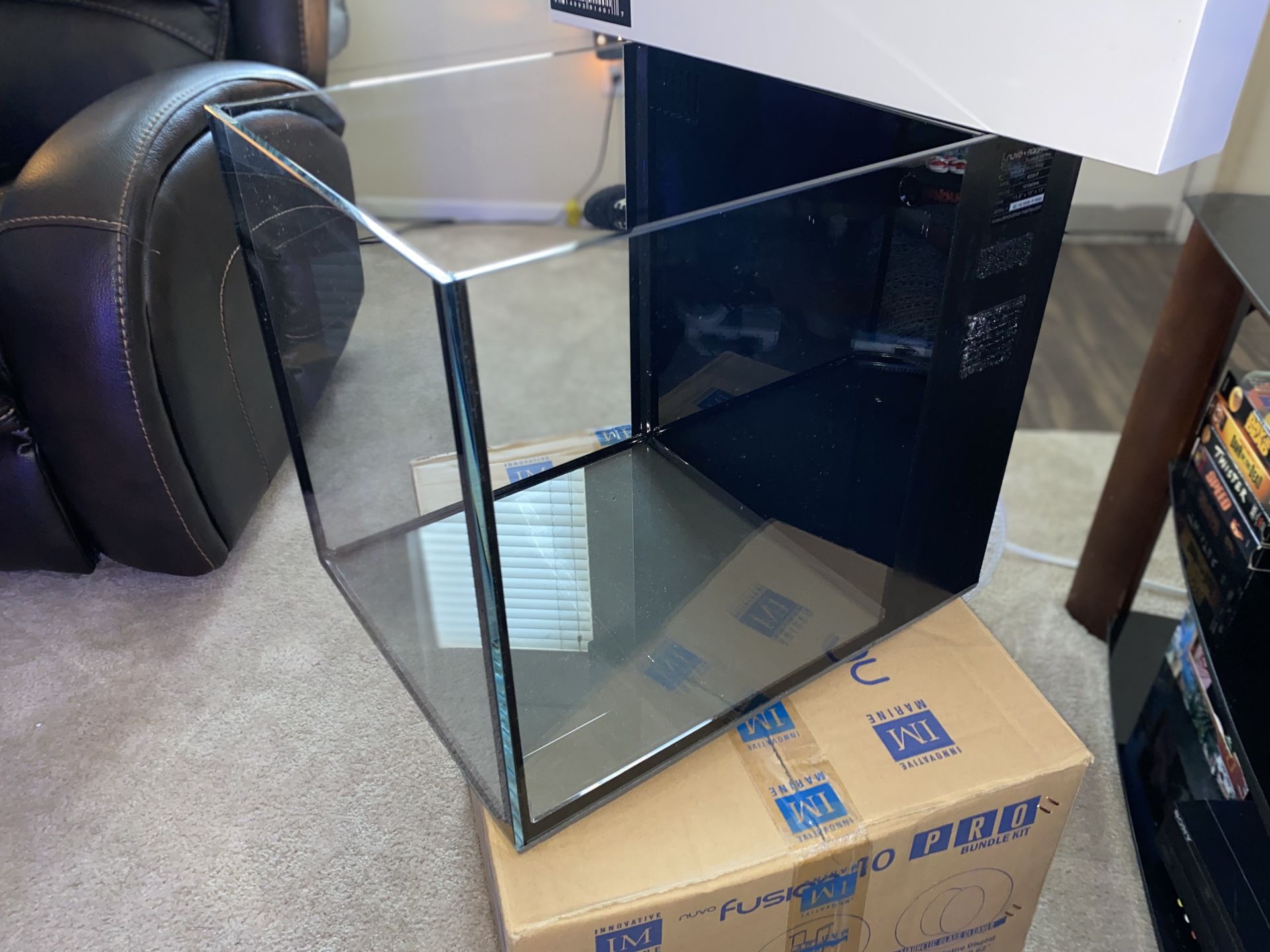 Reef tank