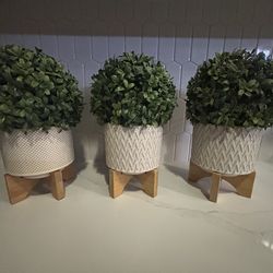 Set of 3 Topiary Trees