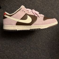 Brand New Dunk Neapolitan 