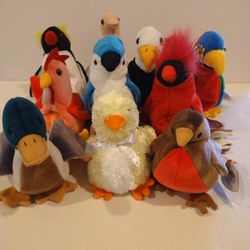 Ty Beanie Babies--Updated Set Birds $5 each