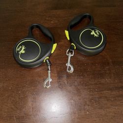 Two Retractable Leashes For Small Dog Or Puppy