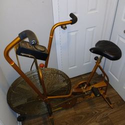 Schwinn Airdyne Exercise Bike