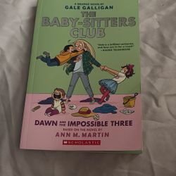 The Baby  sitter Club 