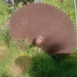 Saw Blade 