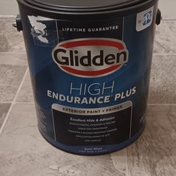 Glidden Semi Gloss Exterior Paint + Primer 3.66L